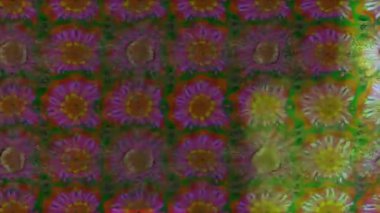 Renkli unsurlarla hareketli arka plan görüntüleri. Çiçekler. Eski model. Bayrak tarzı. Video kaydı. Şablon. Döngü. Kusursuz.. 