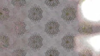 Renkli unsurlarla hareketli arka plan görüntüleri. Çiçekler. Eski model. Bayrak tarzı. Video kaydı. Şablon. Döngü. Kusursuz.. 