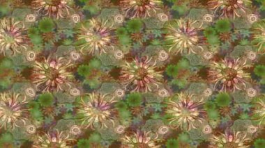 Renkli unsurlarla hareketli arka plan görüntüleri. Çiçekler. Eski model. Bayrak tarzı. Video kaydı. Şablon. Döngü. Kusursuz.. 