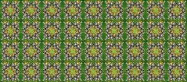 Barok tarzında altın çiçek süsü. Altın element gri, kahverengi ve yeşil renklerde. Damask arkaplanı tekerrür ediyor. Antika altın tekrarlanabilir duvar kağıdı.