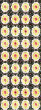 Parlak arkaplanda çiçek kompozisyonu olan suluboya desenleri çiz, ambalajlar, duvar kağıtları, kartpostallar, tebrik kartları, düğün davetiyeleri, romantik etkinlikler vs..