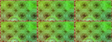 Çiçek deseni. Renkli Bahar Temalı Kusursuz Arkaplan. Raster kusursuz. Güzel kumaş deseni. Düz Çiçek Elementleri Tasarımı.