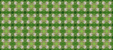 Duvar kâğıdı barok, İspanyol kumaşı. Çiçek deseni. Kusursuz raster arka plan. Yeşil, nötr ve bej renklerde altın elementler. Şekil grafik deseni.