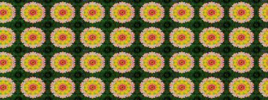 Üst manzara, yumuşak yeşil renk tarzı. Manzaralı çiçek deseni. Çiçek kompozisyonu, el boyası, hassas şablon. Sevgililer günü ve tebrik kartı konsepti için şık bir davet.