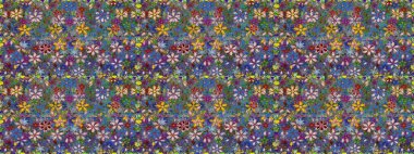 Etnik Mandala süsü. Raster Henna dövme stili. Tekstil, tebrik kartı, boyama kitabı, telefon kılıfı baskısı için kullanılabilir. Hint çiçekli desenli şal desenli..