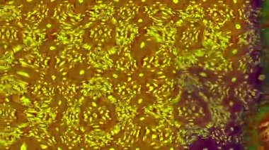 Renkli unsurlarla hareketli arka plan görüntüleri. Çiçekler. Eski model. Bayrak tarzı. Video kaydı. Şablon. Döngü. Kusursuz.. 