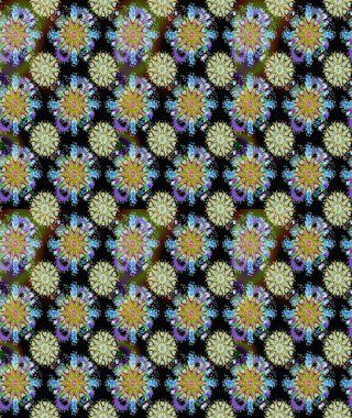 Çiçek süsü ile kusursuz desen. Raster illüstrasyonu. Siyah ve nötr renkte çiçekler.