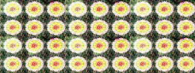 Düz Çiçek Elementleri Tasarımı. Modaya uygun kumaş deseni. Renkli Yaz Temalı eskiz kalıbı. Sevimli çiçek raster deseni.