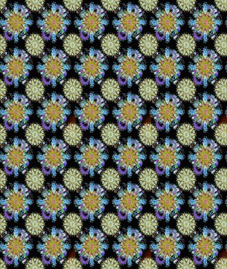 Siyah ve nötr renklerde çiçekler. Şirin çiçek elementleri. Kusursuz. Raster illüstrasyonu.