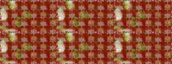 Etnik Mandala süsü. Kızılderili desenli desenli desenli şal deseni. Raster Henna dövme stili. Tekstil, tebrik kartı, boyama kitabı, telefon kılıfı baskısı için kullanılabilir.