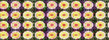 Nazikçe, sarı renkte bahar çiçekleri. Çiçekli karalama şeklinde Raster çiçek deseni. Raster illüstrasyonu.