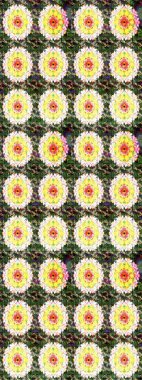 Parlak arkaplanda çiçek kompozisyonu olan suluboya desenleri çiz, ambalajlar, duvar kağıtları, kartpostallar, tebrik kartları, düğün davetiyeleri, romantik etkinlikler vs..