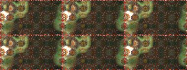 Renkli şal desenli, kahverengi ve yeşil çiçekli ve dekoratif elementli kusursuz desen. Kusursuz bir geçmişi var. Raster illüstrasyonu. Kumaş, tekstil, duvar kağıdı baskısı için. Antika retro tarzı.