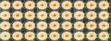 Tarafsız ve yeşil renklerde. Raster illüstrasyonu. Raster illüstrasyonundaki çiçek desenli çizim. Güzel kumaş deseni.