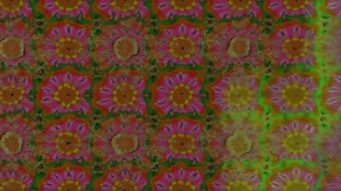 Renkli unsurlarla hareketli arka plan görüntüleri. Çiçekler. Eski model. Bayrak tarzı. Video kaydı. Şablon. Döngü. Kusursuz.. 