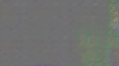 Renkli unsurlarla hareketli arka plan görüntüleri. Çiçekler. Eski model. Bayrak tarzı. Video kaydı. Şablon. Döngü. Kusursuz.. 