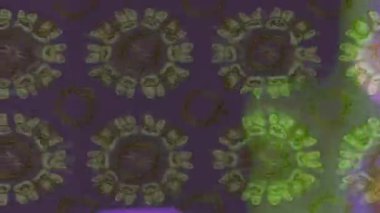 Renkli unsurlarla hareketli arka plan görüntüleri. Çiçekler. Eski model. Bayrak tarzı. Video kaydı. Şablon. Döngü. Kusursuz.. 