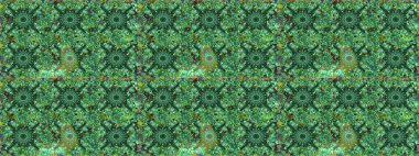 Sorunsuz çiçek deseni kaydırma kağıt, davet, el ilanı, afiş veya Web sitesi Web sitesi arka plan duvar kağıdı için kullanılabilir. Elle çizilmiş Raster resim. Parlak unsurları.