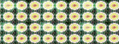 Suluboya çizim kalıbı. Raster illüstrasyonu. Moda baskısı. Dekorasyon ve tasarım için güzel bir desen. Eski model. Çiçeğin suluboya çizimlerinin zarif deseni.