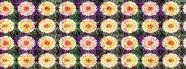 Yumuşak, yaz çiçekli arka plan. Sarı ve nötr renklerde çiçekler. Raster çiçek desenli ve çiçekli..