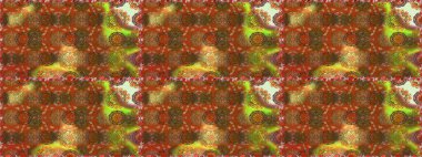 Çiçek kompozisyonu. Raster deseni. Küçük çiçekte güzel bir desen var. - Kahverengi çiçekler. Çiçek arkaplan. Çiçek kolajı. Doğa.