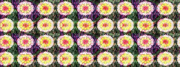 Yumuşak, yaz çiçekli arka plan. Sarı ve nötr renklerde çiçekler. Raster çiçek desenli ve çiçekli..