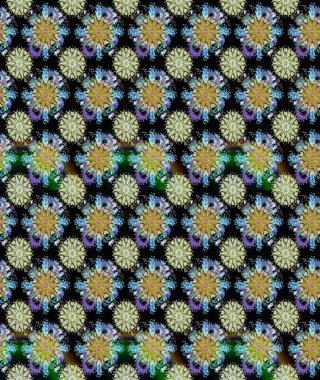 Siyah ve nötr renklerde çiçekler. Nazik, narin çiçek arkaplanı. Raster çiçek desenli ve çiçekli..