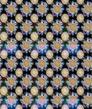 Çiçeksiz desenli arka plan, darbeler, sıçramalar, yaz çiçekleri. Raster illüstrasyonu. Siyah ve nötr renkte çiçekler.