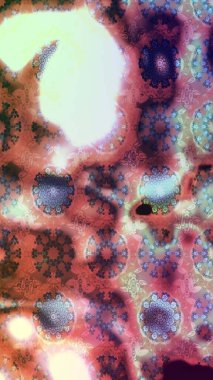 Eskiz arkaplan modeli. Suluboya, elle çizilmiş. Tarafsız renklerde yaprakları olan yabani çiçekler. Raster illüstrasyonu.