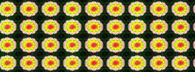 Sarı ve gri arka planda. Tekstil, kumaş, ambalaj, hatıra defteri için hoş bir çiçek arkaplanı. El çizimi çiçekli, pürüzsüz bir desen. Çocuksu tasarım.