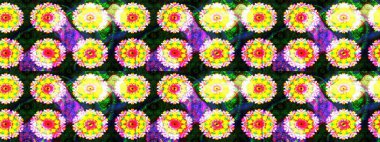 Hediye ambalaj kağıdı, tebrik kartları, posterler ve pankart tasarımı. Raster düz çiçek çizim deseni. Sarı ve yeşil renkte çiçekler.