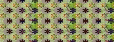 Raster illüstrasyonu. Suluboya çiçekli çiçek deseni. Gri ve nötr renklerde güzel tekstil.