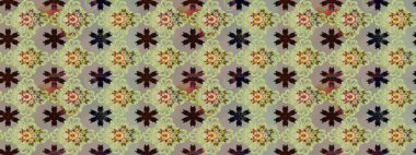 Tarafsız ve gri renklerde yaz çiçekleri. Raster illüstrasyonu. Raster çiçek desenli ve çiçekli..