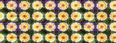 Parlak renkli çiçekleri ve sarı ve yeşil renkli yaprakları olan harika bir çiçek deseni. Modern çiçek arkaplanı. Halk tarzı. Moda baskıları için zarif bir şablon.