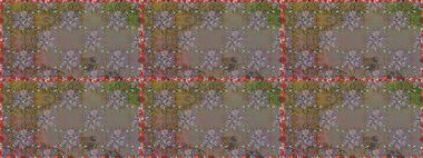 Raster illüstrasyonu. Klasik tropikal doğal elementlerin suluboya seti. Egzotik çiçekler, botanik parlak klasik gri renkler.