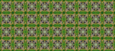 Kahverengi, gri ve yeşil renklerde pürüzsüz desen. Doğu tarzı arabesk tarzında altın elementler. Kusursuz altın desenli bukleler. Raster altın pürüzsüz desen.