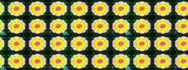 Güzel kumaş deseni. Renkli Yaz Temalı eskiz kalıbı. Düz Çiçek Elementleri Tasarımı. Yazdır. Raster çiçekli arka plan. Güzel çizim şekli..