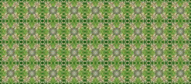 Raster illüstrasyonu. Kart, duvar kağıdı, ambalaj ve tekstil için klasik tasarım. Klasik çiçek dokusu. Kusursuz desenli altın elementler. Yeşil, nötr ve bej renklerde Royal retro. Altın şablon.