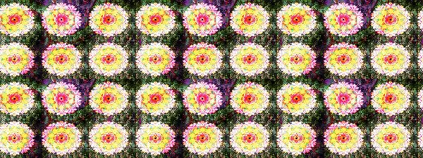 Sarı ve nötr renklerde çiçekler. Renkli Bahar Temalı Kusursuz Arkaplan. Düz Çiçek Elementleri Tasarımı. Çiçekle kusursuz desen.