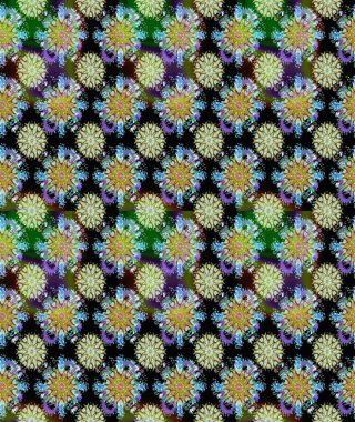 Tarafsız ve siyah renklerde çiçekler. El çizimi çiçekli, soyut, pürüzsüz desen. Raster illüstrasyonu.