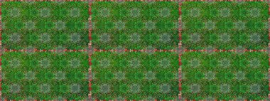 Sevimli çiçek raster deseni. Yeşil ve kahverengi renkli çiçekler. Renkli Yaz Temalı Kusursuz Arkaplan. Düz Çiçek Elementleri Tasarımı.