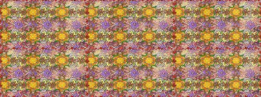 Çiçek kompozisyonu. Küçük çiçekte güzel bir desen var. Çiçek kolajı. - Kahverengi çiçekler. Raster deseni. Doğa. Çiçek arka planı.