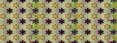 Çiçek desenli eskiz. Gri renkli çiçekler. Tişört baskısı için çiçek boyama rasteriName.