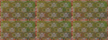 Sarma, tekstil ve duvar kâğıdı için kusursuz çiçek arkaplanı. Yumuşak pamuk tasarımı. Yumuşak fayans. Raster 'ın taze dokusu. Klasik çiçek deseni.