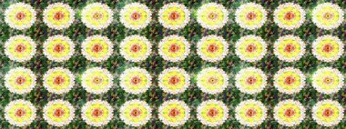 Çizim raster deseni. Çiçek arkaplan. Güzel kumaş deseni.