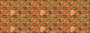 Raster illüstrasyonu. Kahverengi renklerde ve altın elementlerle klasik, pürüzsüz desen.