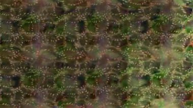 Renkli unsurlarla hareketli arka plan görüntüleri. Çiçekler. Eski model. Bayrak tarzı. Video kaydı. Şablon. Döngü. Kusursuz..