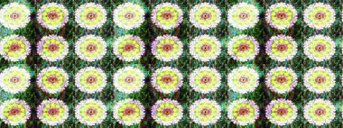 Halk tarzı. Parlak renkli çiçekleri ve yeşil ve nötr renklerde yaprakları olan harika bir çiçek deseni. Moda baskıları için zarif bir şablon. Modern çiçek arkaplanı.