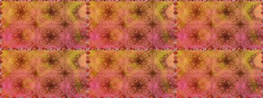 Hint çiçek liyada madalyon deseni. Etnik Mandala süsü. Tekstil, tebrik kartı, boyama kitabı, telefon kılıfı baskı için kullanılabilir. Raster Kına dövme tarzı.