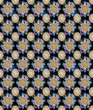 Siyah ve nötr renklerde çiçekler. Yumuşak, yaz çiçekli arka plan. Raster çiçek desenli ve çiçekli..